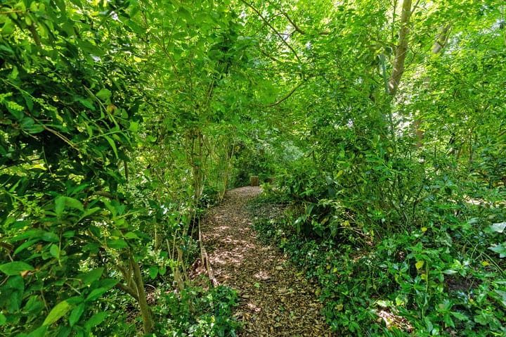 Photo 85 of Boeier 01 8