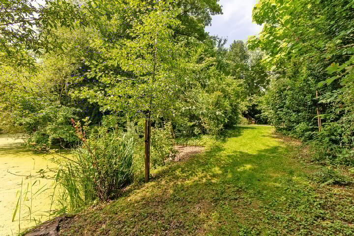 Photo 81 of Boeier 01 8