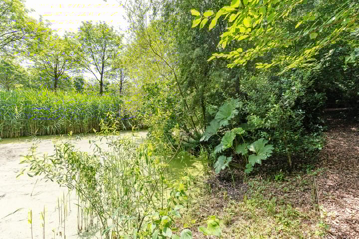 Photo 90 of Boeier 01 8