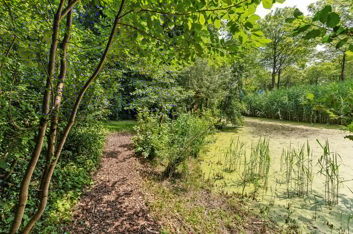 Photo 83 of Boeier 01 8