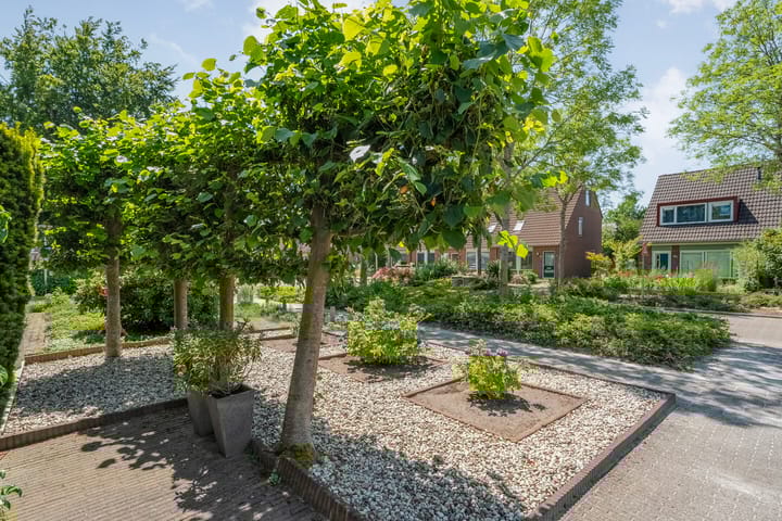 Photo 38 of Vorenwolde 5