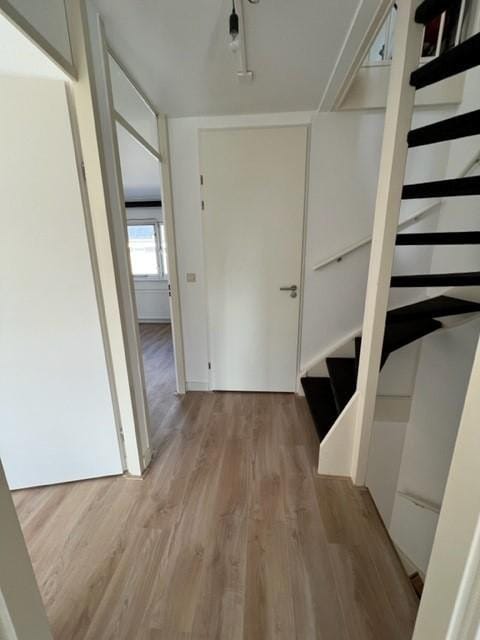 Photo 20 of Costa Ricastraat 85