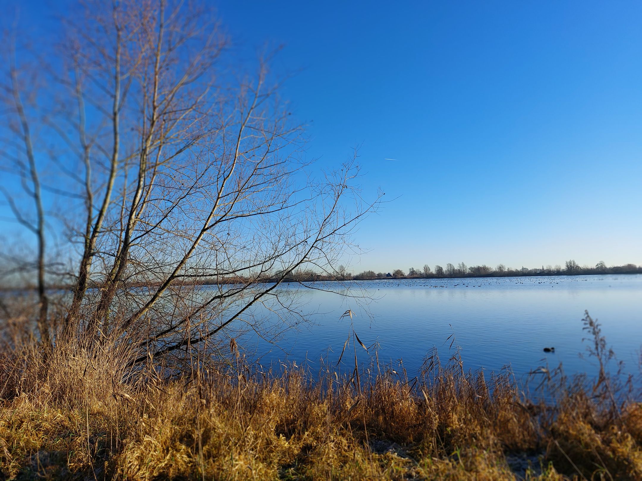 Foto 30 van Albert Schweitzerstraat 16