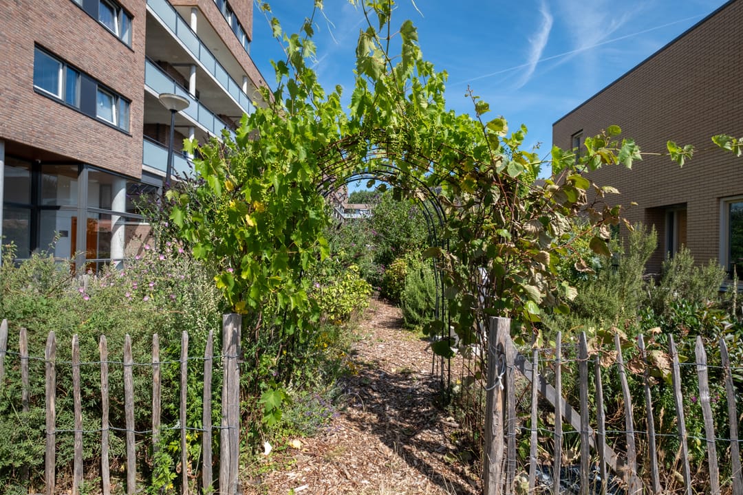 Foto 31 van Galantstraat 37