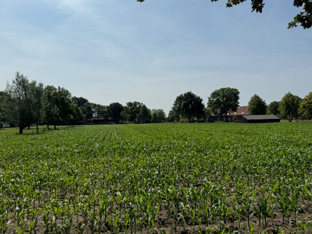 Foto 2 van Laar bouwgrond