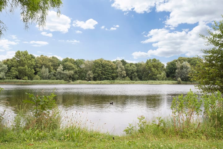 Foto 27 van Manis Krijgsmanhof 32