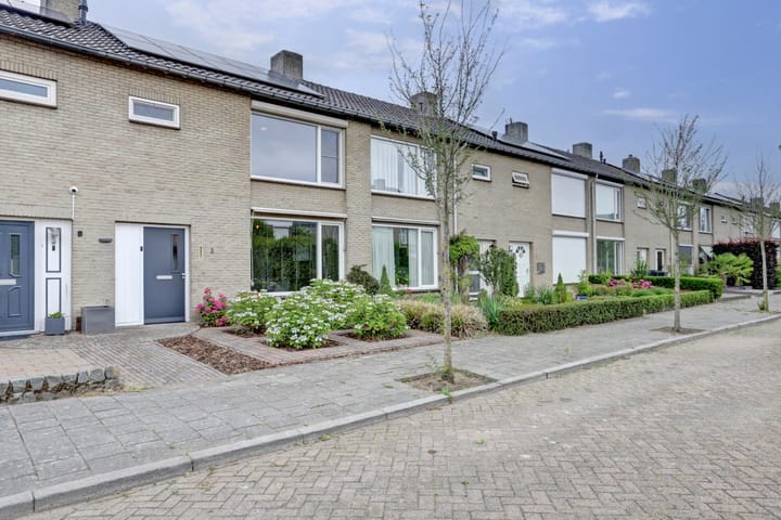 Foto 6 van Zonnedauw 3