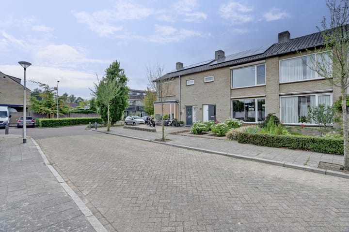 Foto 51 van Zonnedauw 3