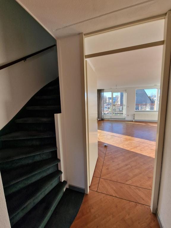 Foto 10 van Renzo Pianolijn 31