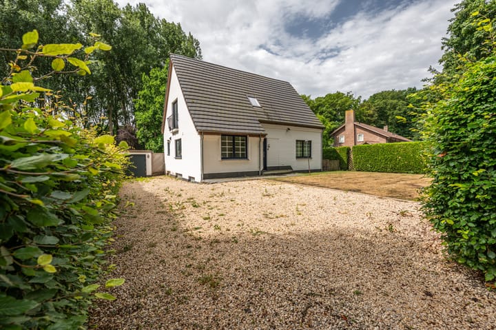 Foto 7 van Wandeldreef 6