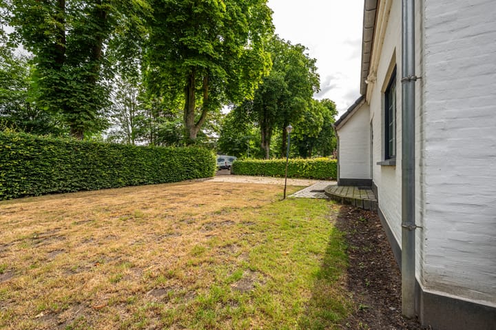 Foto 4 van Wandeldreef 6