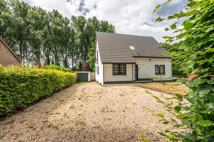 Foto 1 van Wandeldreef 6