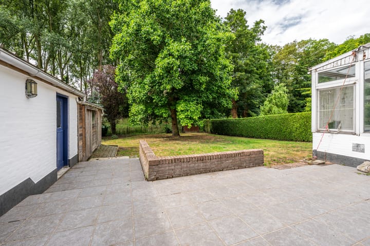 Foto 33 van Wandeldreef 6