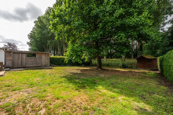 Foto 34 van Wandeldreef 6