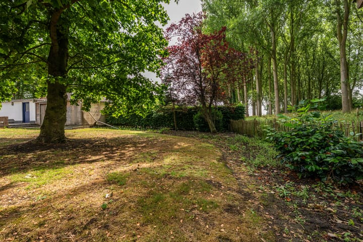 Foto 37 van Wandeldreef 6