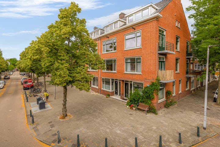 Foto 30 van Zweedsestraat 97-A01