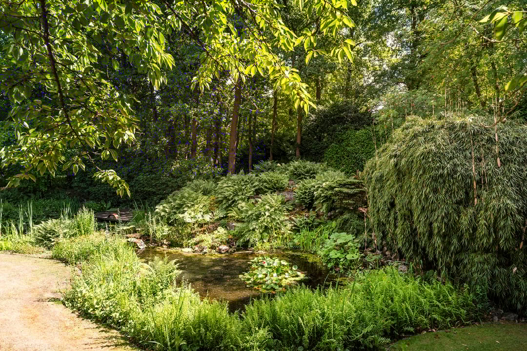 Foto 8 van Enghlaan 10