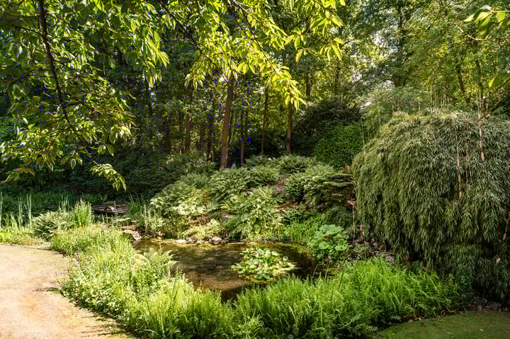 Foto 8 van Enghlaan 10