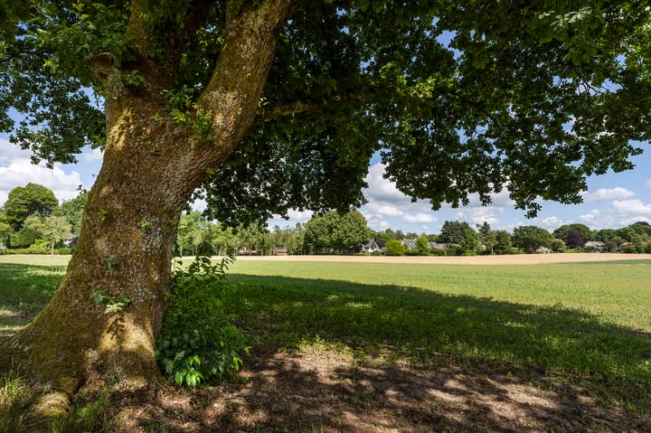 Foto 12 van Enghlaan 10