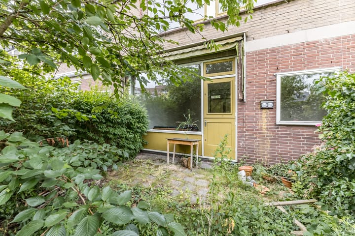 Foto 48 van De Weer 42