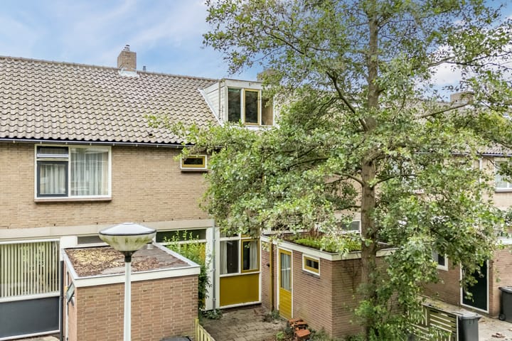 Foto 47 van De Weer 42