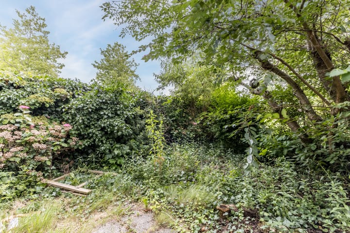 Foto 51 van De Weer 42