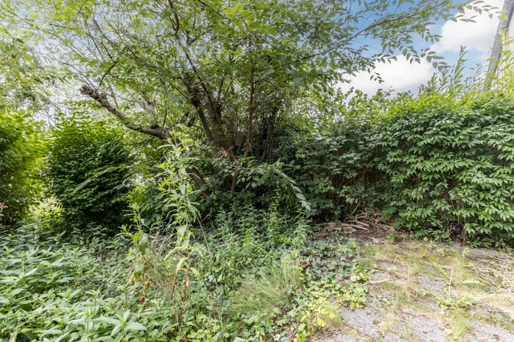 Foto 52 van De Weer 42