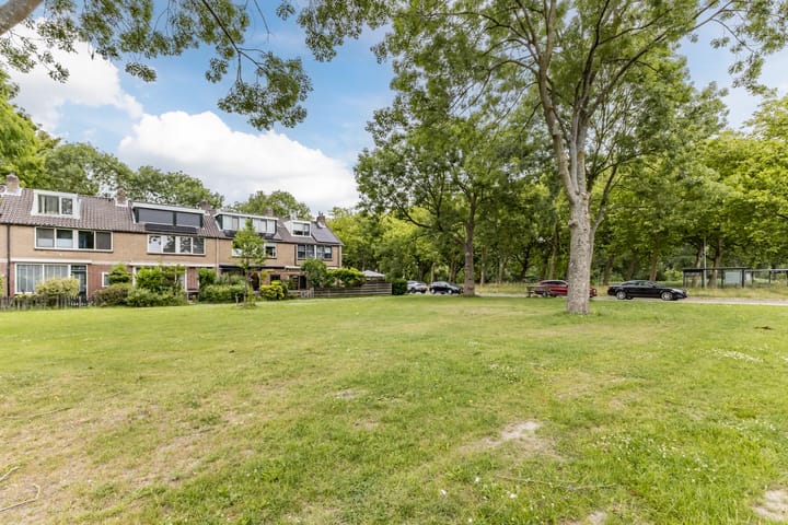 Foto 53 van De Weer 42