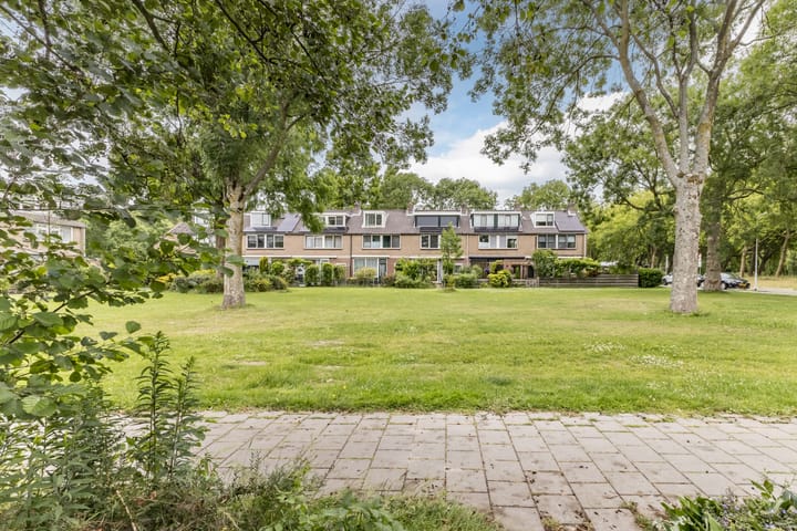 Foto 54 van De Weer 42