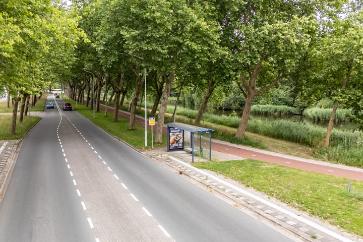 Foto 55 van De Weer 42