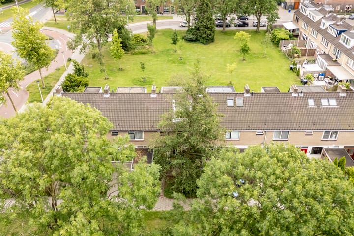 Foto 56 van De Weer 42