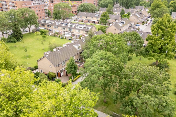 Foto 59 van De Weer 42