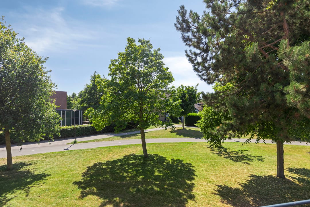 Foto 31 van Westeinde 84