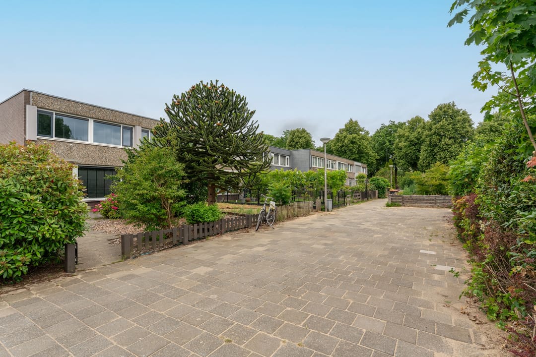 Foto 31 van Zesde Slagen 64