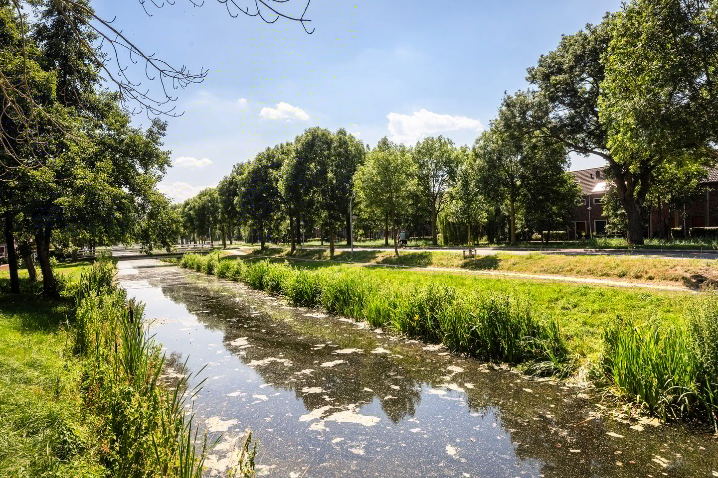 Foto 25 van Zomertalinghof 7