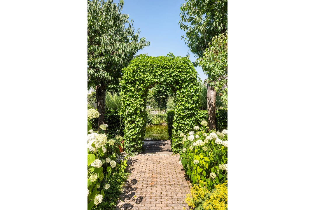 Foto 26 van Zomertalinghof 7