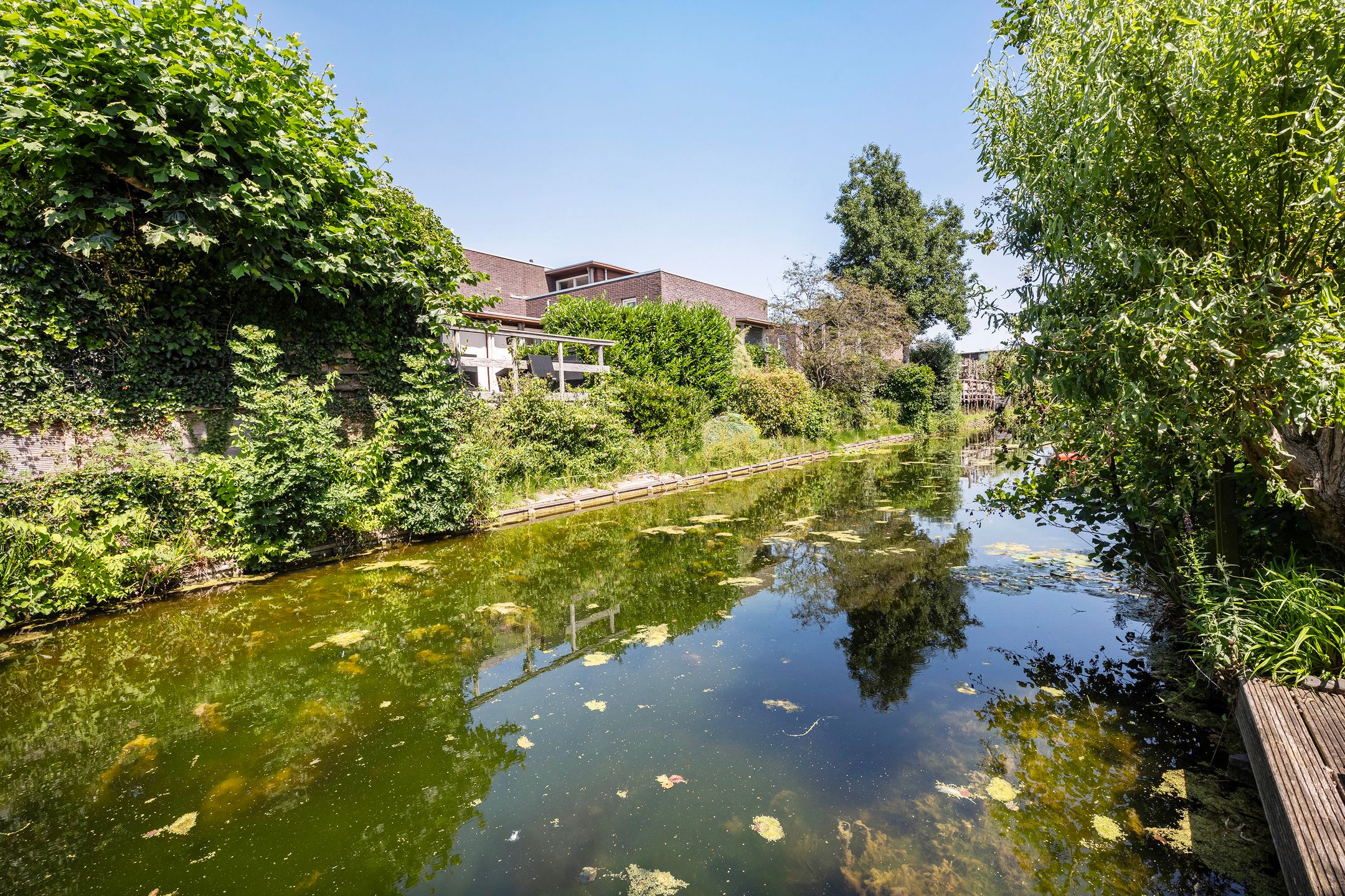 Foto 27 van Zomertalinghof 7