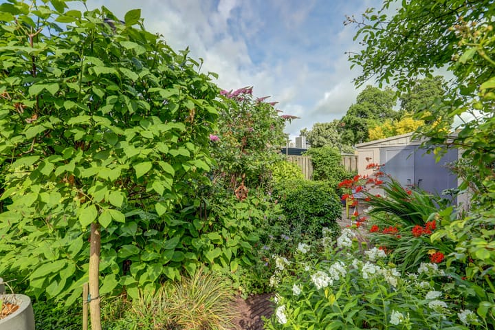 Foto 26 van Talmaplantsoen 60