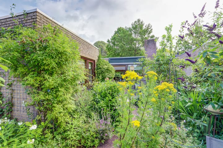 Foto 29 van Talmaplantsoen 60