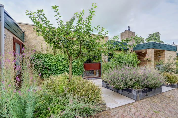 Foto 34 van Talmaplantsoen 60