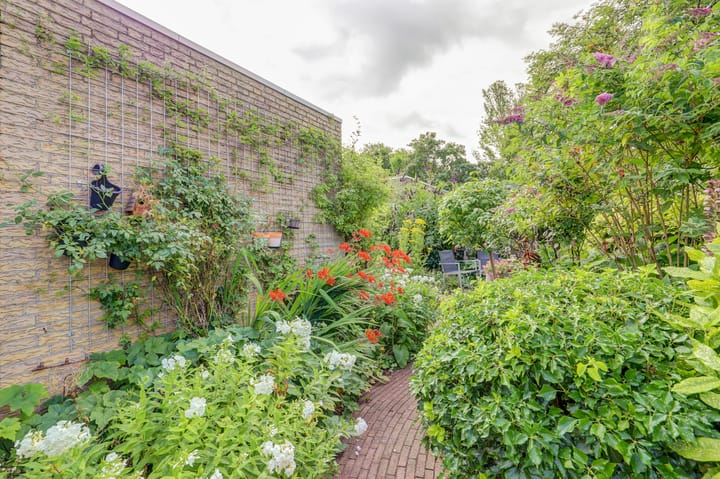 Foto 28 van Talmaplantsoen 60