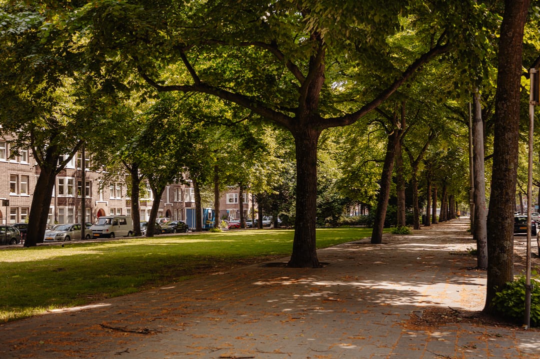 Photo 16 of Haringvlietstraat 17-1