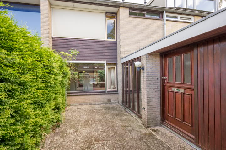 Foto 1 van Dashorst 29