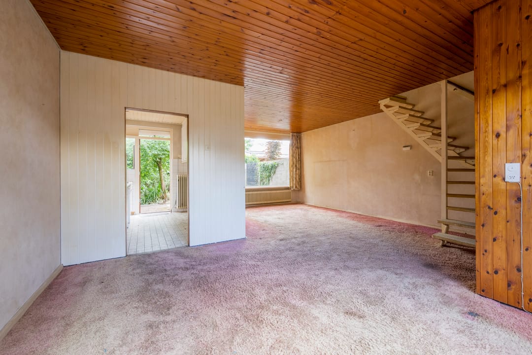 Foto 8 van Dashorst 29