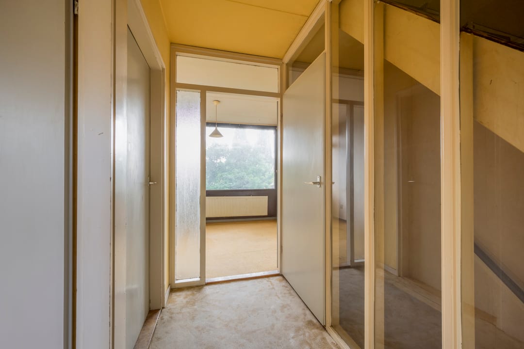 Foto 11 van Dashorst 29