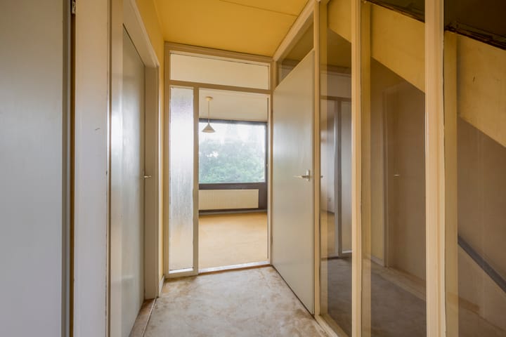 Foto 11 van Dashorst 29