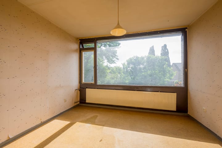 Foto 12 van Dashorst 29