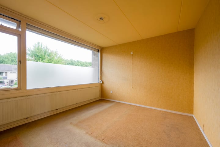 Foto 14 van Dashorst 29