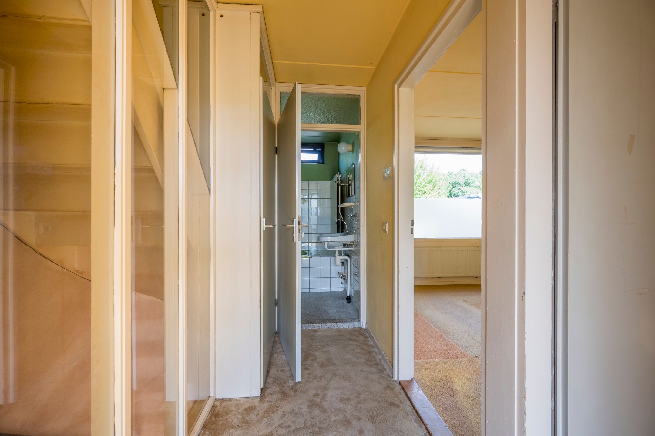 Foto 15 van Dashorst 29