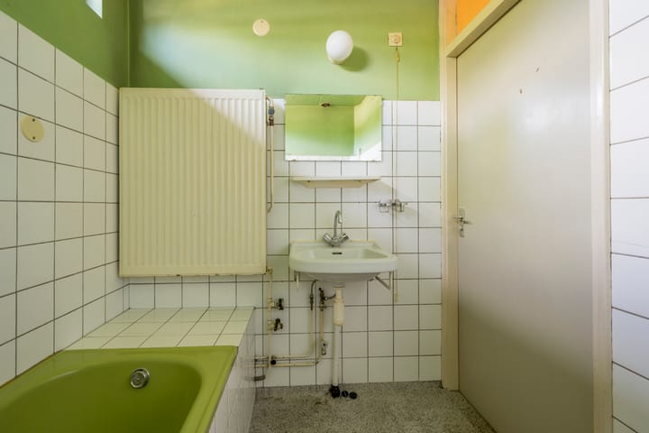 Foto 16 van Dashorst 29